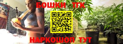 молекула духа Будённовск