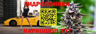 молекула духа Будённовск