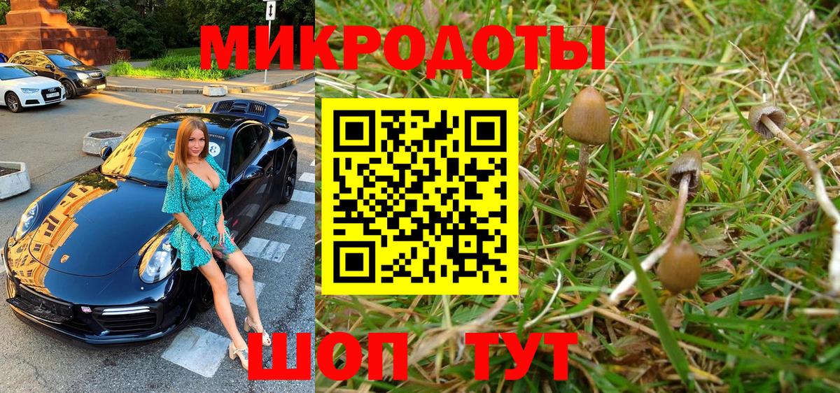 Галлюциногенные грибы GOLDEN TEACHER  где купить наркоту  Кунгур  Вход с VPN 